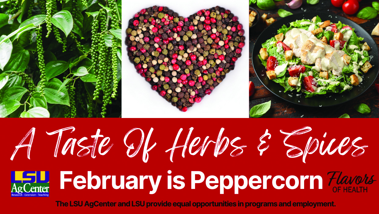 LSU AgCenter's A Taste of Herbs and Spices Initiative: Promoting Flavor and Health